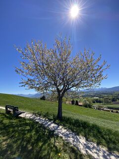 Foto de Sven Krieblin a lo largo del recorrido