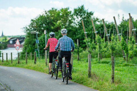 Radfahrer auf der Apfelroute