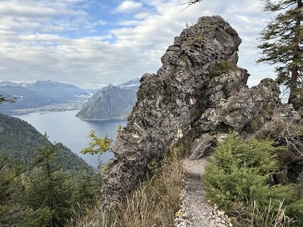Foto von Natur_erleben_dg entlang der Tour