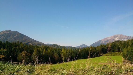 Blick auf die Gemeindealpe und den Ötscher
