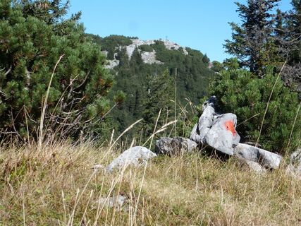 Blick zum Gipfelkreuz auf den Gr. Geiger