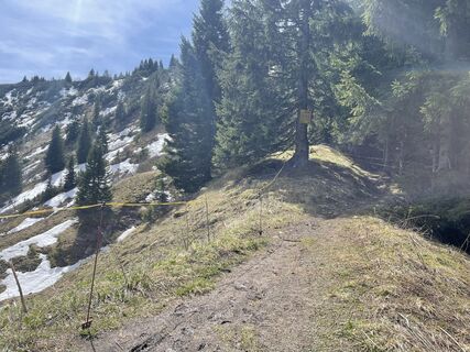 Fotografia z drsbauer na trase