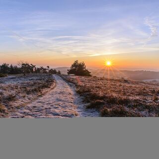 Raureif am Osterkopf bei Sonnenaufgang
