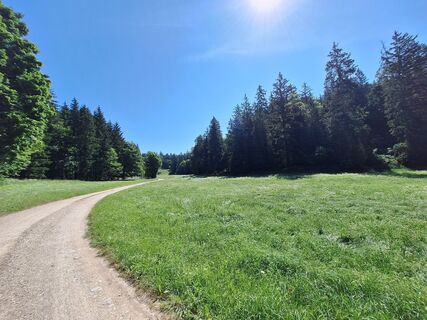 Foto von Hermann E. entlang der Tour