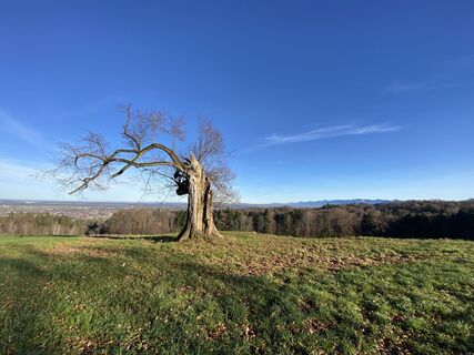 Fotografie z Sven Krieblin na trase
