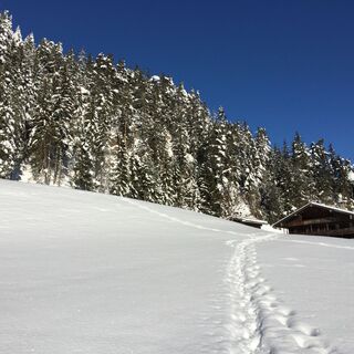 Schneeschuhwanderung am Reither Kogel