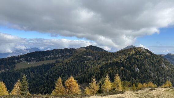 Foto von Gabriele Guggenberger entlang der Tour