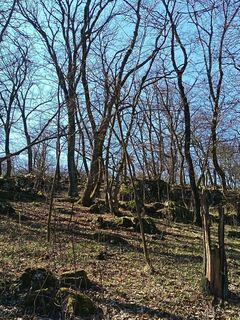 Foto von Julika Jármer entlang der Tour