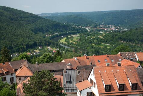 Blick vom Dilsberg ins Neckartal