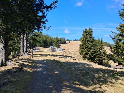 Foto de Wanderschuh a lo largo del recorrido