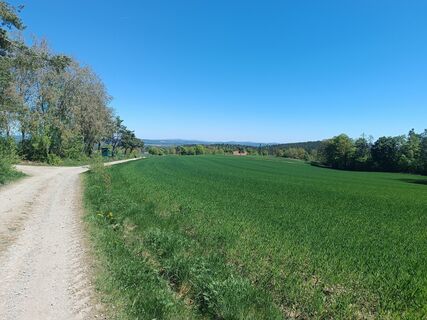 Foto von Florian Koller 3 entlang der Tour