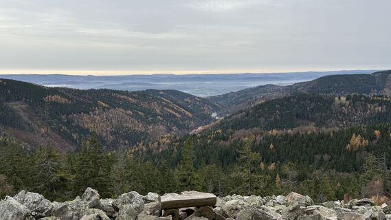 Foto de edefreak a lo largo del recorrido