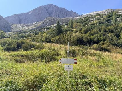 Foto de Volker Michalczik a lo largo del recorrido