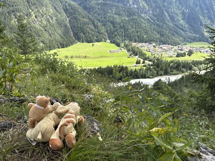 Photo de Grizzli le long du parcours