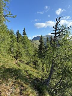 Photo de Luciano le long du parcours