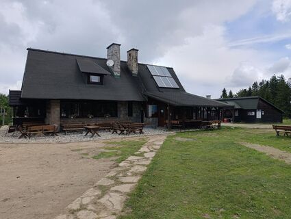 Fotografia z Romek Dwornik na trase