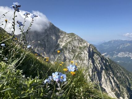 Foto von Natur_erleben_dg entlang der Tour