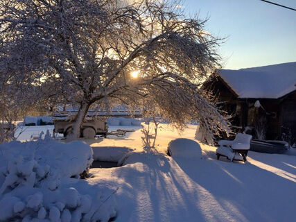 Winterlicher Garten