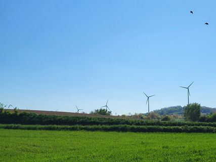 Fotografija s spletne strani BergfexxMaxx na poti