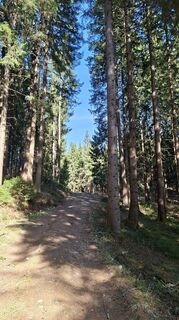 Foto von Mangolein entlang der Tour