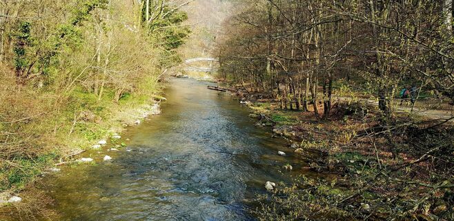 Photo de Rade Iljic le long du parcours