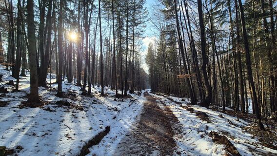 Foto de Patrick82 a lo largo del recorrido