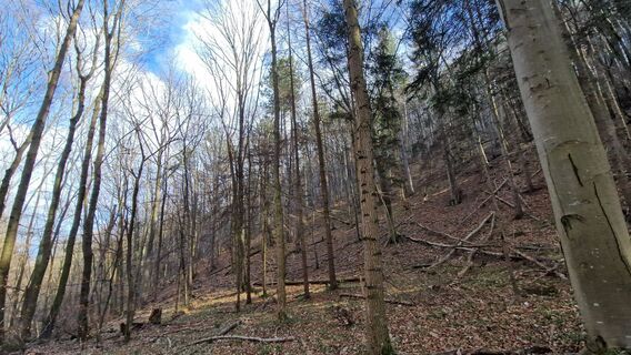 Fotografie z EP87 na trase