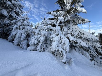 Foto von Natur_erleben_dg entlang der Tour
