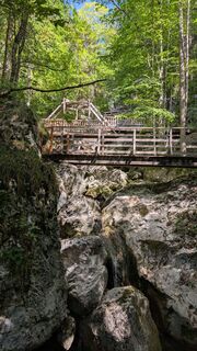 Fotografija s spletne strani Martin Temm na poti