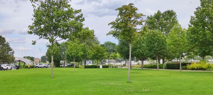 Foto von Mária Borsos entlang der Tour