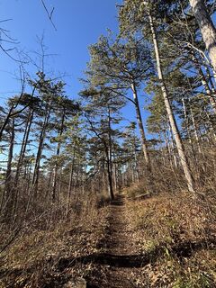 Fotografie z RS76 na trase