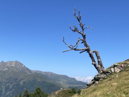 Foto de Sven Krieblin a lo largo del recorrido
