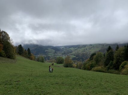 Foto von Koen De Wit entlang der Tour