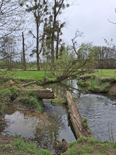 Fotografie z Peter spierenburg na trase