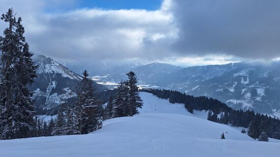 Fotografia z Regina Fleischmann na trase