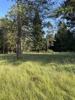 Fotografia z Robert Rettig na trase