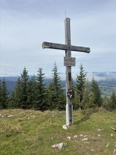 Foto från Elisabeth Esser under resans gång