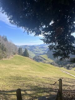 Foto von Susanne Rechsteiner entlang der Tour