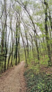 Foto von Elisabeth Rossa entlang der Tour