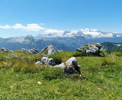 Photo de Veronika Strauss le long du parcours