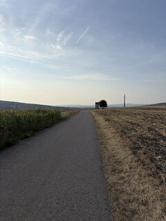 Photo de Andreas Vogel 1 le long du parcours