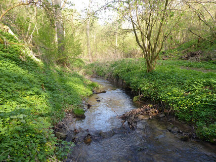 Sunderbachtal