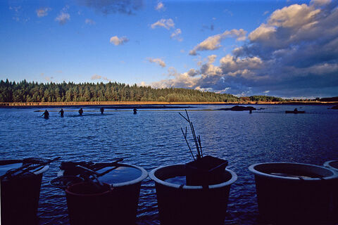 Bruneiteich Heidenreichstein