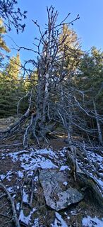 Foto von Mario Thomaschütz entlang der Tour