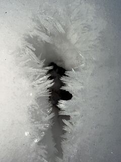 Fotografia z Levente Szádeczky na trase