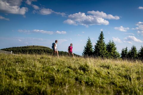 Wandern