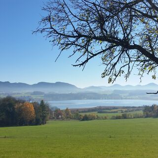 Ausblick auf den Wallersee