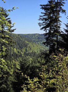 Fotografia z Timon Bertignoll na trase
