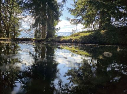 Fotografija s spletne strani Milán 15 na poti
