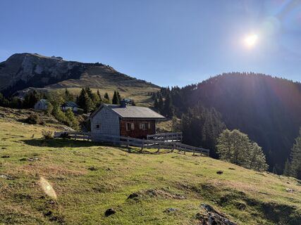Foto von Natur_erleben_dg entlang der Tour
